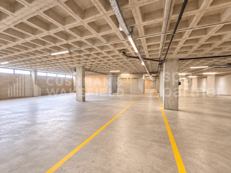 Jeunes 23 - Dépôt logistique au rez-de-chaussée de 1?000 m², La Praille (8)