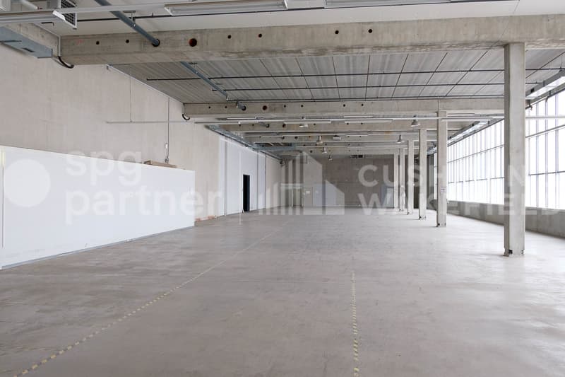 Surface logistique de 5300 m² Meyrin (ZIMEYSA) - EK9 (9)