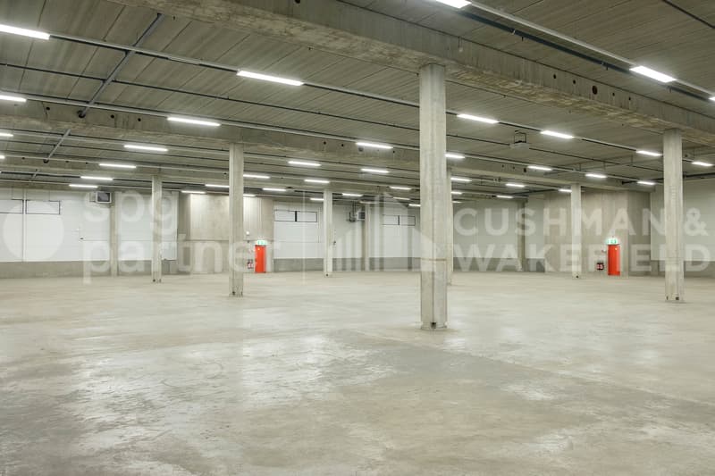 Surface logistique de 700 m² Meyrin (ZIMEYSA) - EK9 (4)