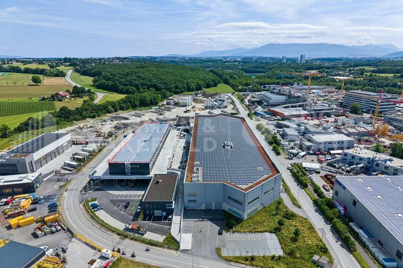 Superficie artigianale in duplex con accesso veicoli - SATIGNY (Bois-de-Bay) (5)