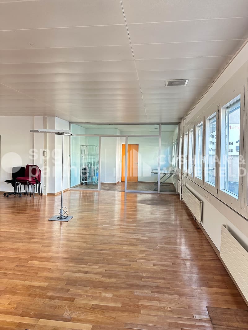 Lignon ? Surface de 312 m² en RDC pour activité artisanale ou showroom (5)