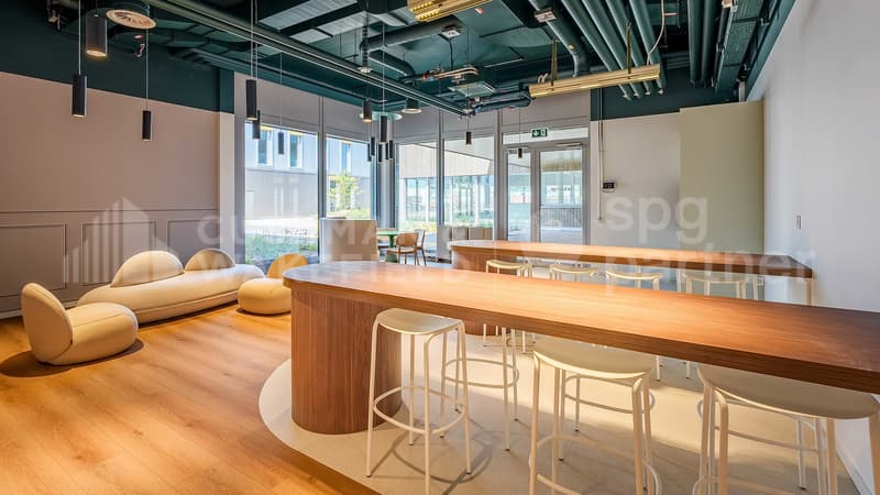 Quarz'Innov - Bâtiment industriel, technologique et artisanal à louer - 10'600 m² divisibles (4)