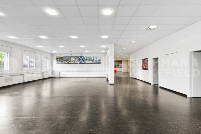 Bureaux lumineux et locaux artisanaux proches A1 et aéroport - Grand-Puits 42 (5)