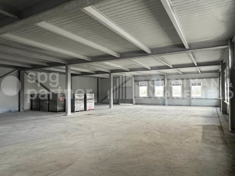 Studio/warehouse on the ground floor of 300 m² in the industrial zone of Satigny (6)