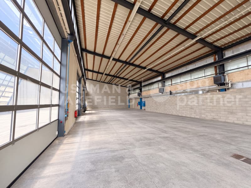 Grande surface industrielle de 2'390 m² | Rare à Genève | Disponible immédiatement (7)