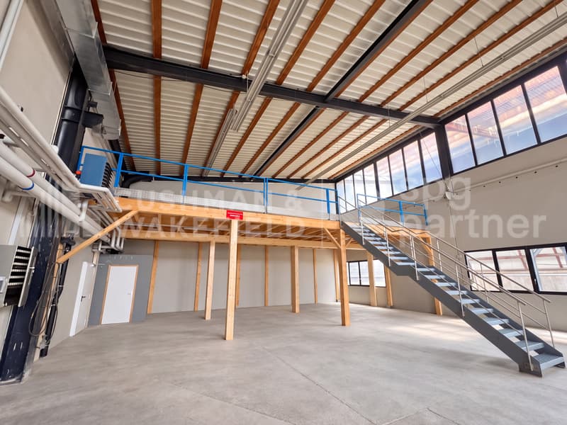 Grande surface industrielle de 2'390 m² | Rare à Genève | Disponible immédiatement (9)