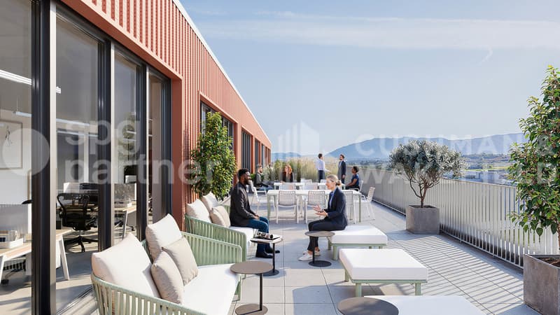 Your premises in full property ownership, 8,000 m² artisanal and industrial - ORIX (7)