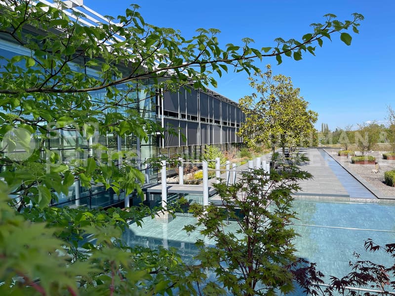 Bureaux aménagés de 600 m² à louer à Collonge-Bellerive - Onyx Business Park (6)