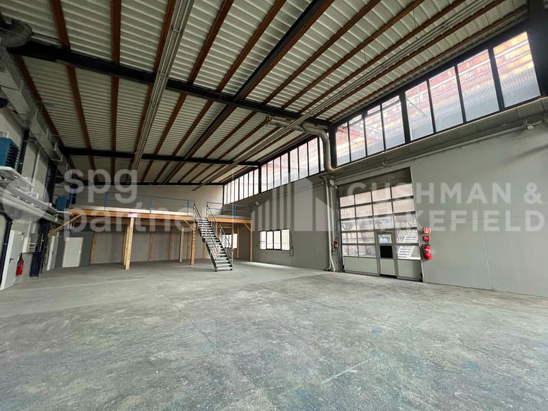 Industrielle und handwerkliche Fläche von 1'470 m² in Petit-Lancy (9)