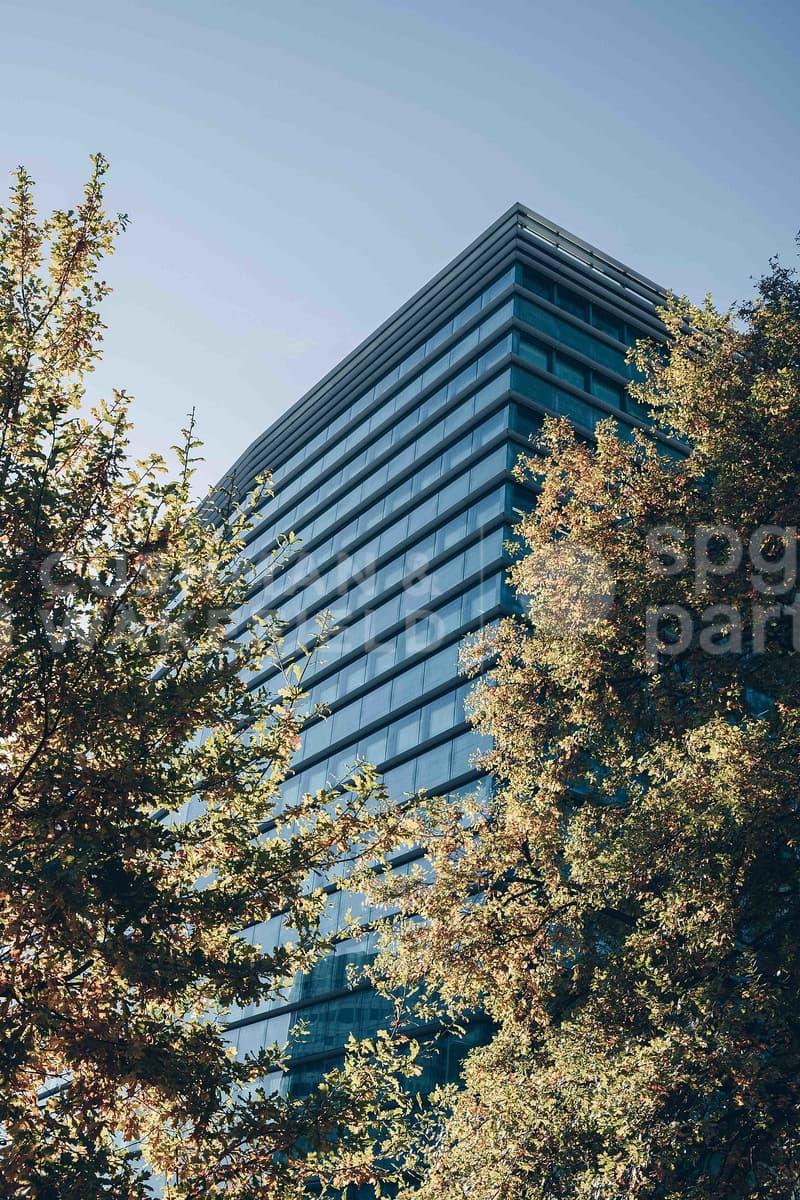 Superficie amministrativa di 540 m² con vista spettacolare sul Lago di Ginevra - Nation Business Center (12)