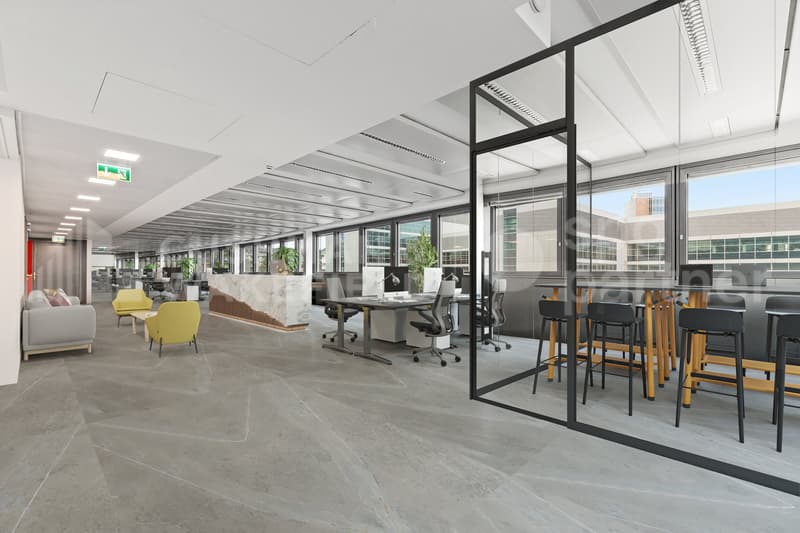 Superficie amministrativa di 540 m² con vista spettacolare sul Lago di Ginevra - Nation Business Center (6)