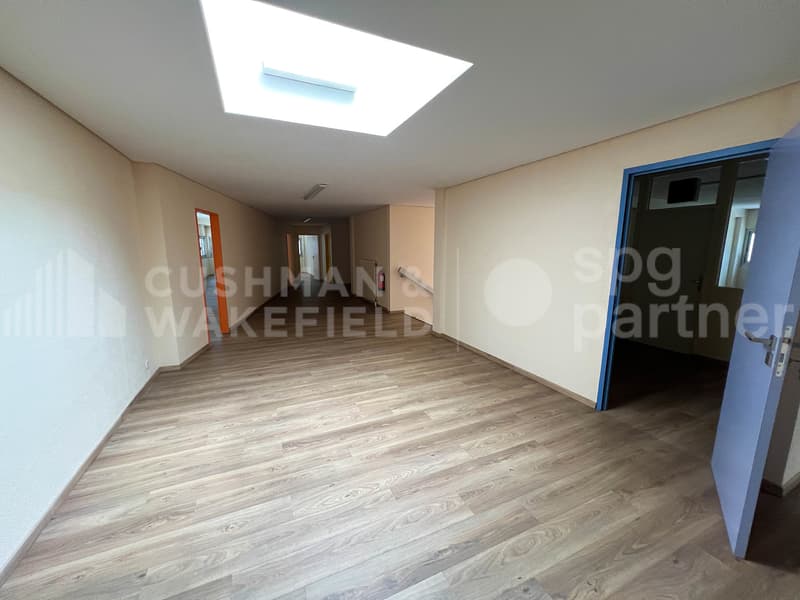 Surface mixte avec porte sectionnelle - 940 m² | SATIGNY?ZIMEYSA (10)