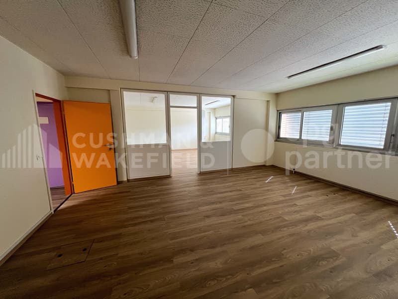 Surface mixte avec porte sectionnelle - 940 m² | SATIGNY?ZIMEYSA (3)