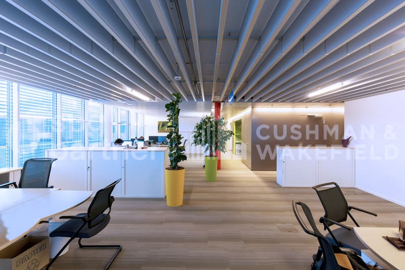 A-One Business Center Bureaux Plug & Play avec vue sur le Lac (5)