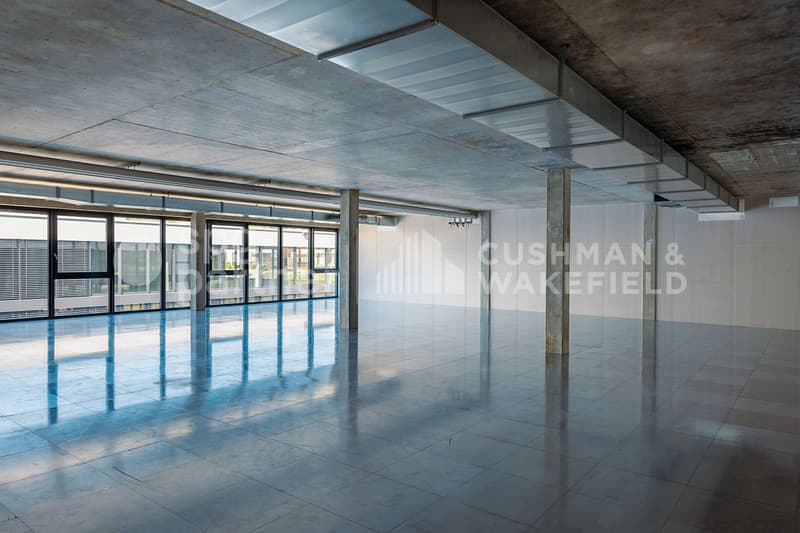 IDEAL PARK Bureaux, ateliers et production : des espaces sur mesure (9)