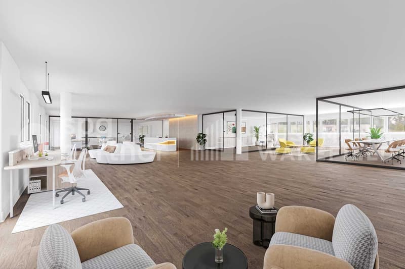 Aubonne Business Park, surfaces avec terrasse, flexibles et fonctionnelles (2)