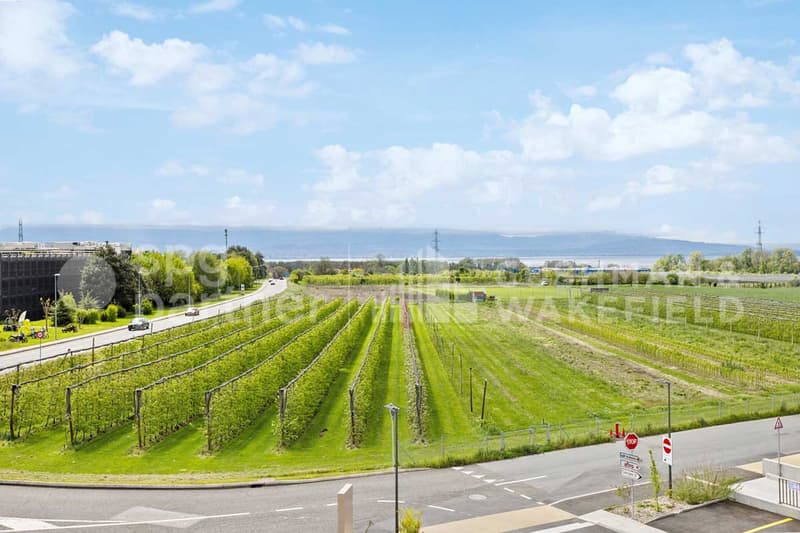 Aubonne Business Park, surfaces avec terrasse, flexibles et fonctionnelles (8)