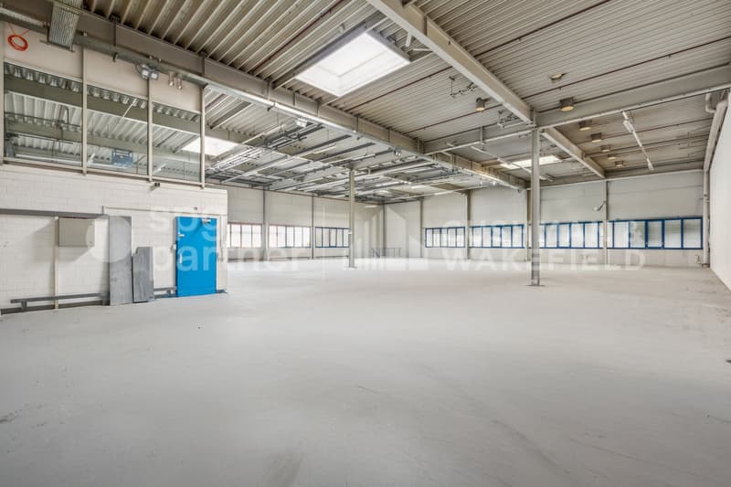 Locaux industriels avec sous-sol et équipements techniques complets - Collège 43 (7)