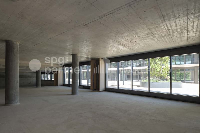 COCOON Bureaux à louer dans un immeuble neuf et de standing (8)