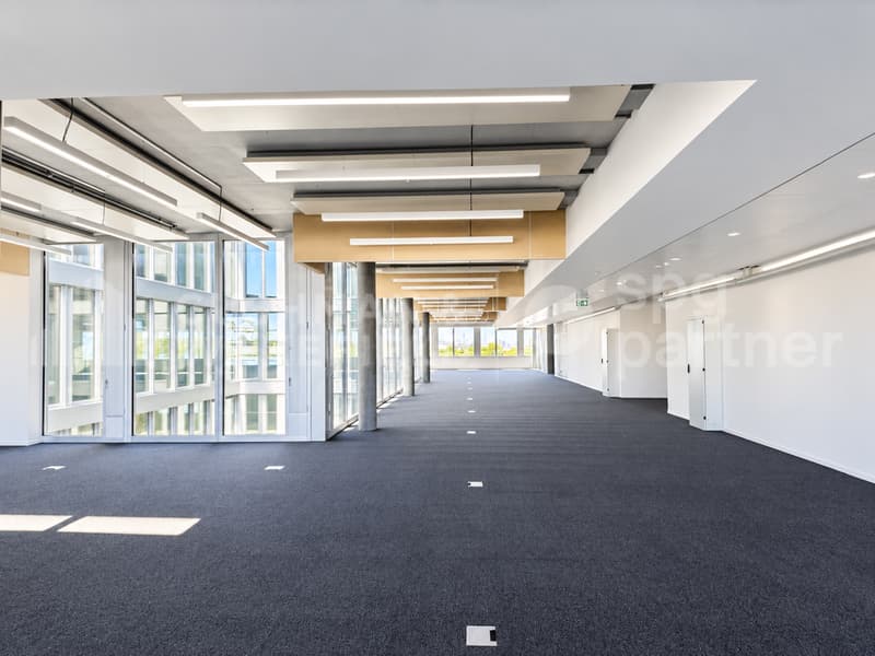 Surface industrielle semi-aménagée de 1'700 m² à louer près de Genève - Stellar (2)