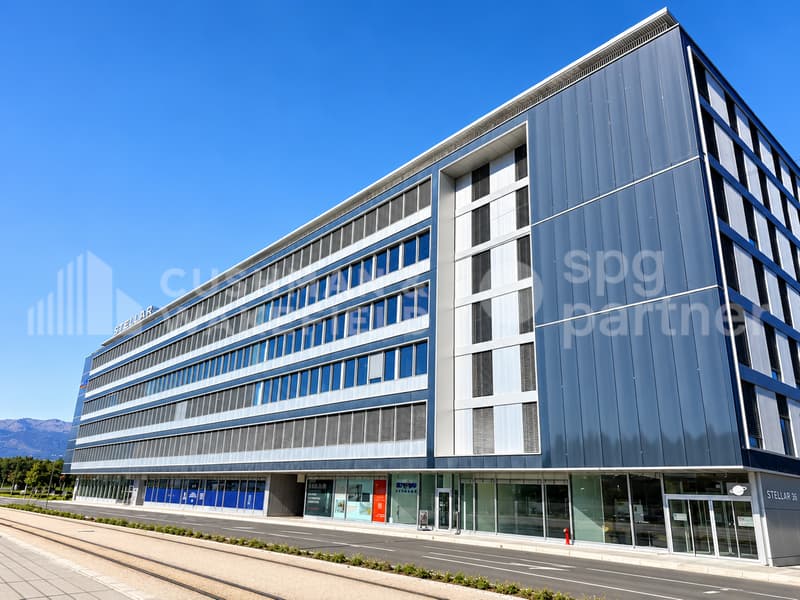 Locaux industriels high-tech à louer - Stellar (11)
