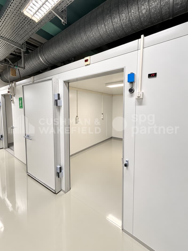 Bureaux et Laboratoires Biotech équipés - CTN 14 (5)