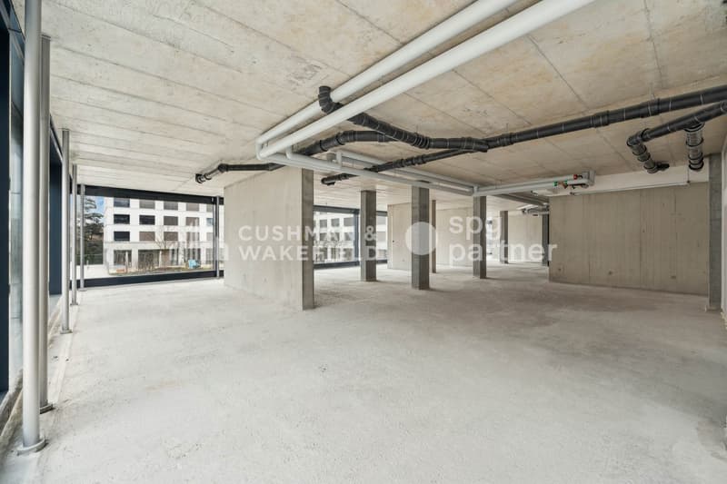 Trembley 12, bureaux lumineux de 272 m² au Petit-Saconnex (12)
