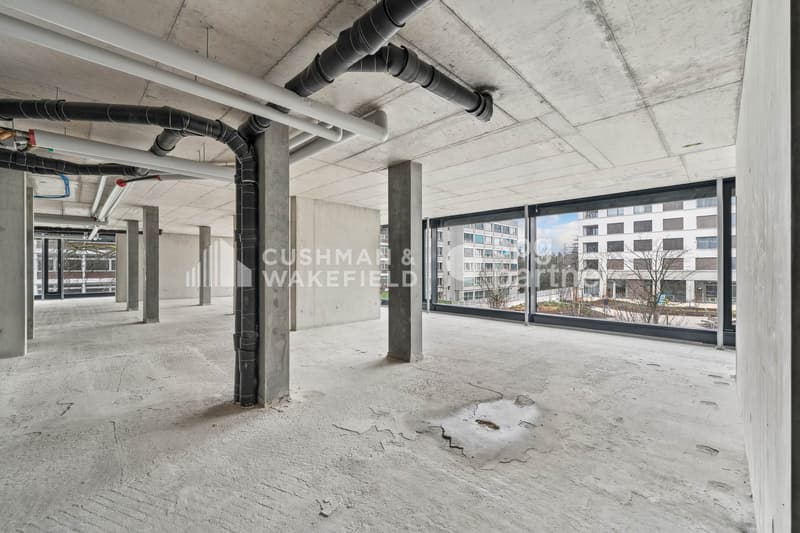 Trembley 12, bureaux aménagés de 154 m² au c?ur d?un parc privé (6)