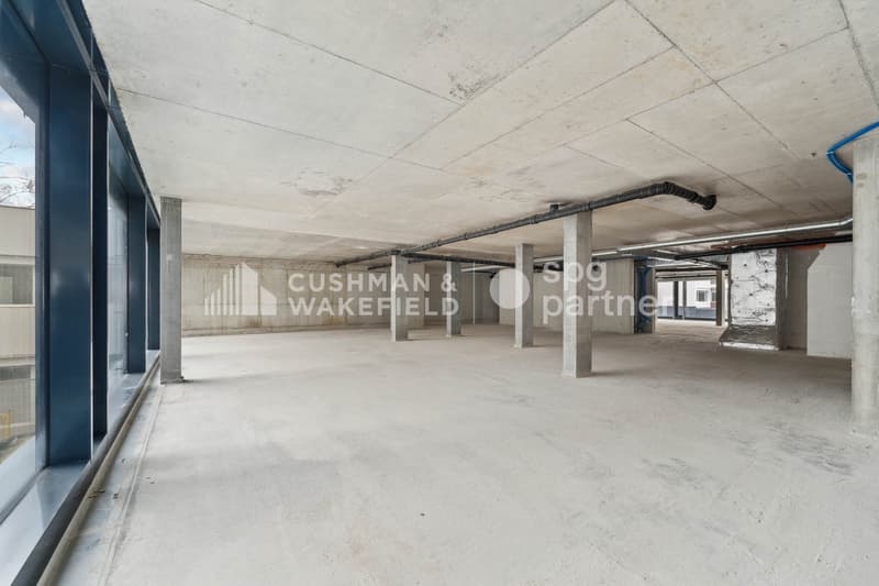 Trembley 12, surface administrative aménagée de 215 m² dans un cadre verdoyant (8)