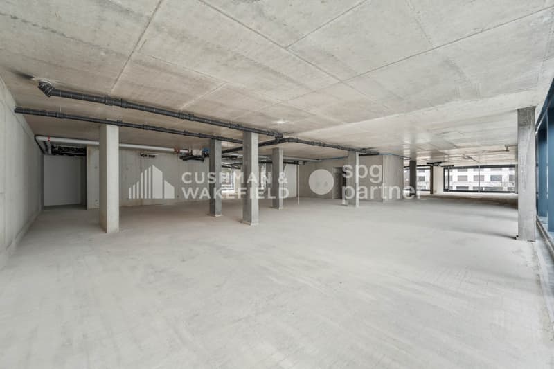 Trembley 12, surface professionnelle aménagée de 328 m² au c?ur d'un parc privé (10)