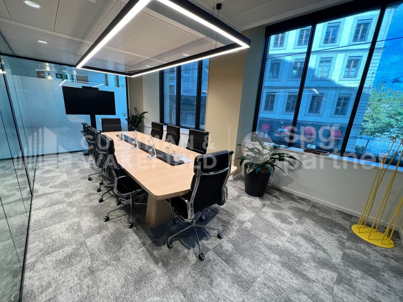 Bureaux premium à deux pas du lac - Rhône 8 (4)