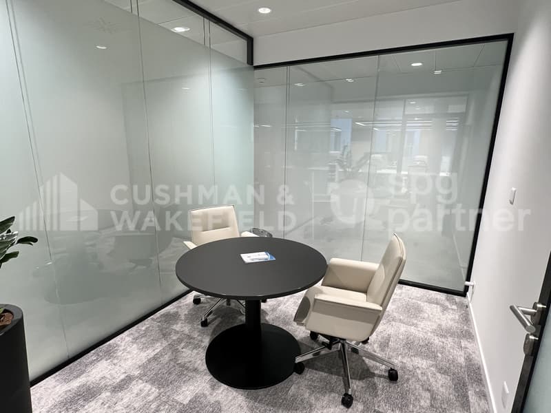 Bureaux premium à deux pas du lac - Rhône 8 (11)