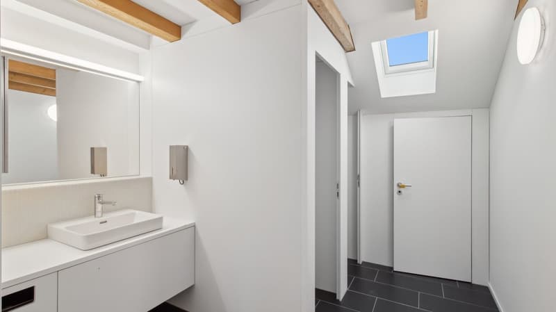 minimalist white walls, white vanity, skylight, modern sink