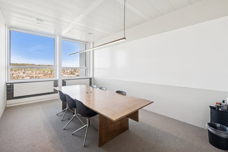 empty meeting room, large windows, wooden table, black chairs, white walls, ceiling lamp