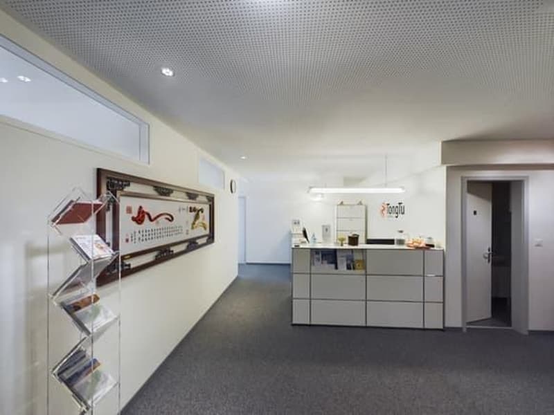 Spazio ufficio attraente nel cuore di Zurigo (3)