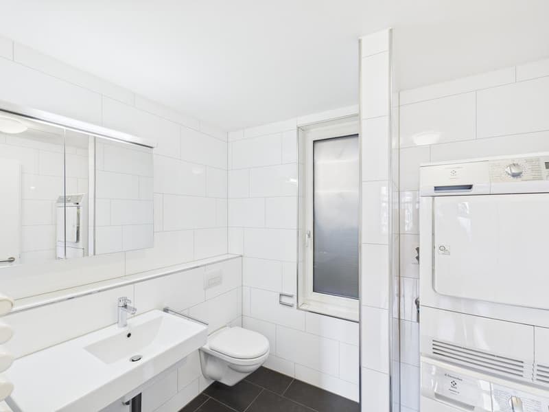 Appartement rénové sur la place animée de Schaffhauserplatz (3)