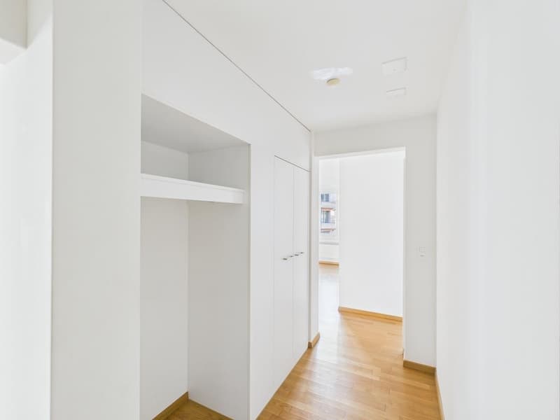 Appartement rénové sur la place animée de Schaffhauserplatz (4)