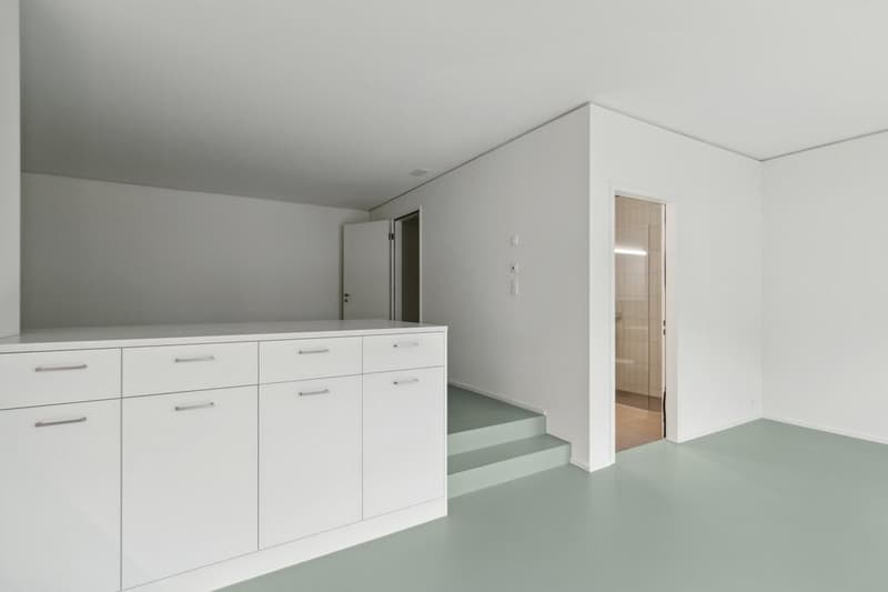 Vivere al Wydäckerring - Casa moderna a Uetliberg (3)