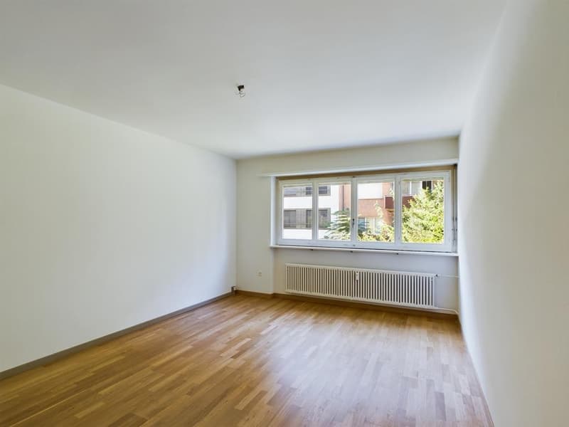 Appartamento 2 locali centrale con balcone nel popolare Wiedikon (5)