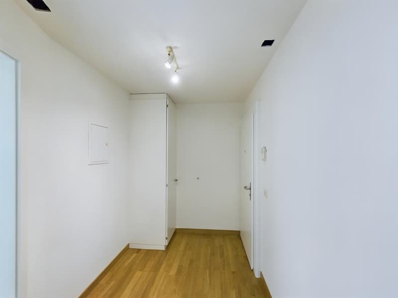 Appartamento 2 locali centrale con balcone nel popolare Wiedikon (3)