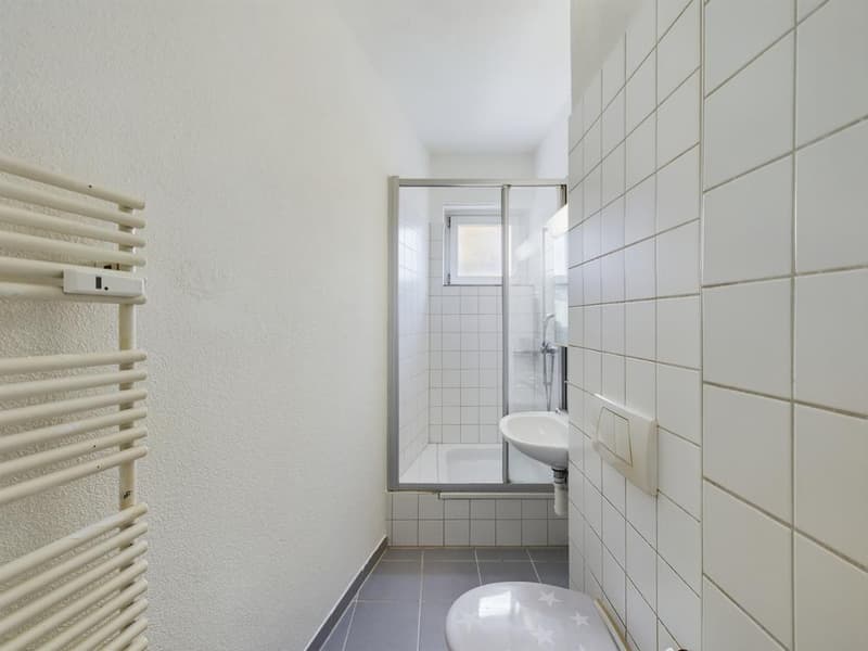 Appartamento 2 locali centrale con balcone nel popolare Wiedikon (4)