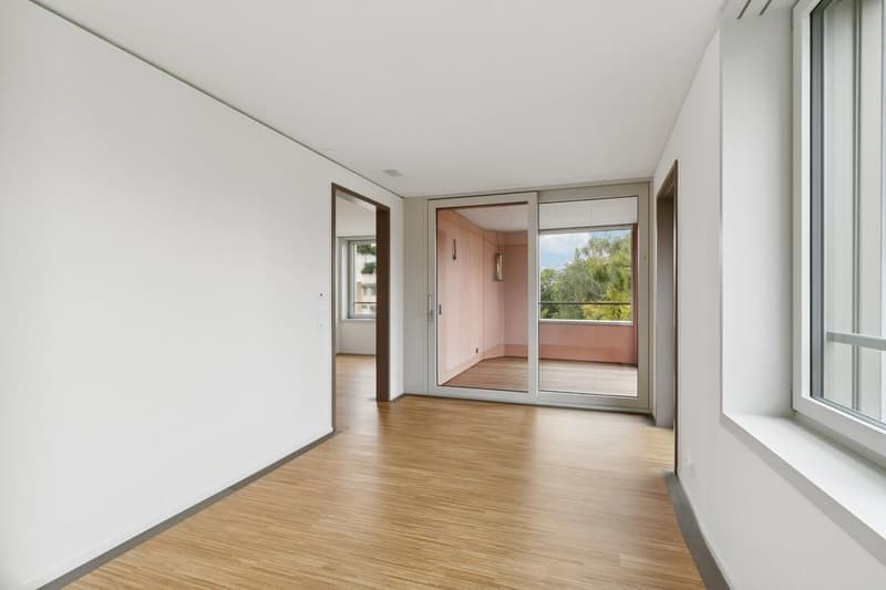2.5 room apartment in Zurich (6)