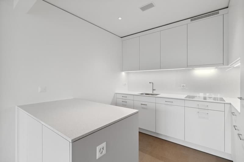 2.5 room apartment in Zurich (4)