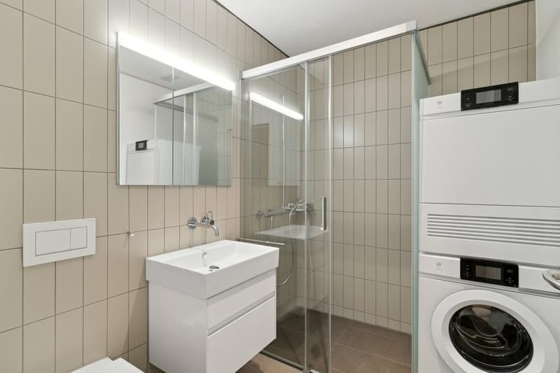 2.5 room apartment in Zurich (3)