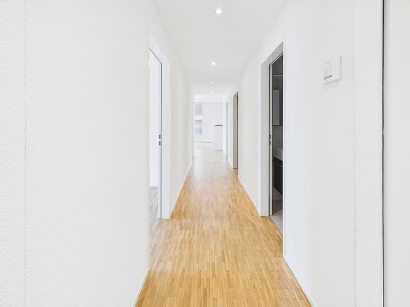 Attractive 4.5-room apartment in Zürich-Altstetten (3)