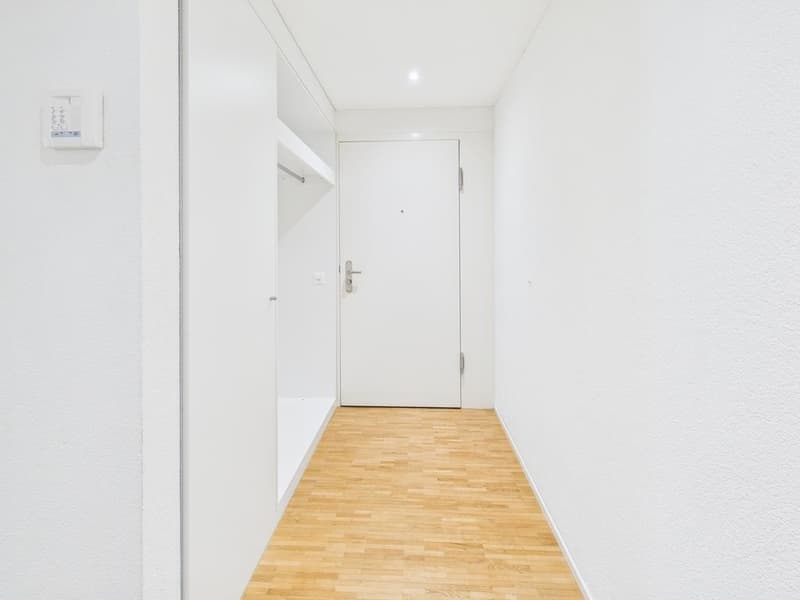 Attractive 4.5-room apartment in Zürich-Altstetten (2)