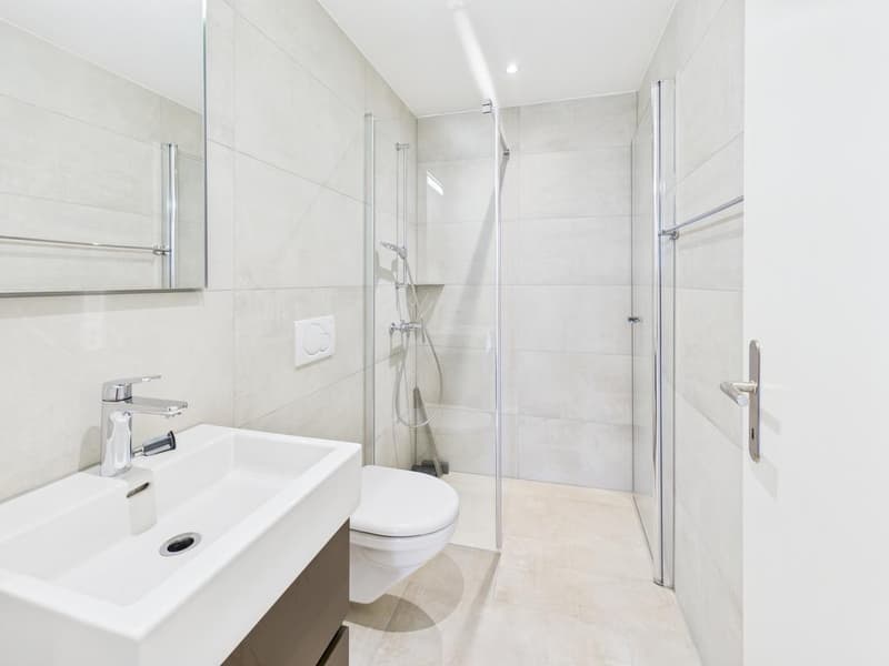 Attractive 4.5-room apartment in Zürich-Altstetten (5)