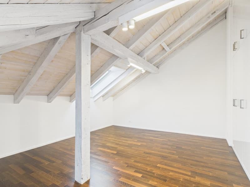 Appartement-maisonnette moderne de 3,5 pièces à Stampfenbachplatz (8)