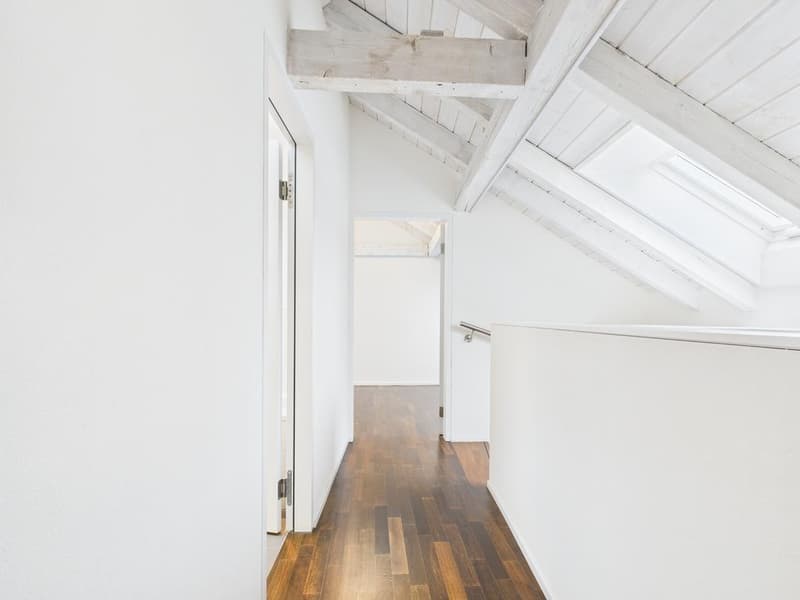 Appartement-maisonnette moderne de 3,5 pièces à Stampfenbachplatz (7)