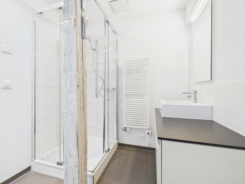Appartement-maisonnette moderne de 3,5 pièces à Stampfenbachplatz (11)